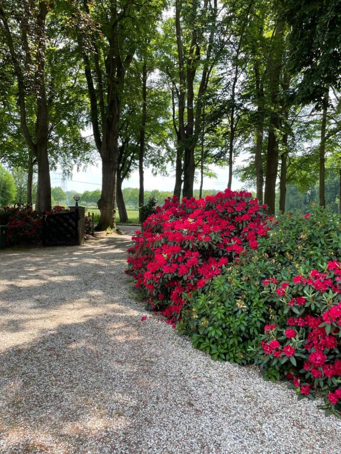 Villa Rozenhof Almen Exteriér fotografie